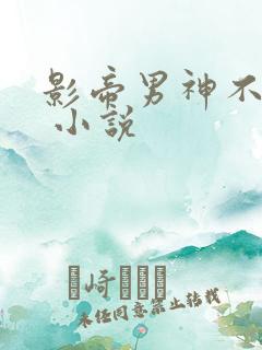 影帝男神不节制 小说