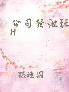 公司发泄玩具lH