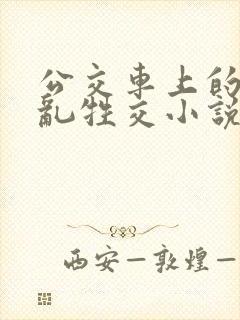 公交车上的疯狂乱牲交小说