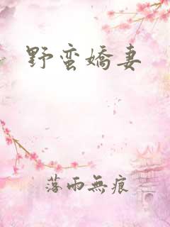 野蛮娇妻