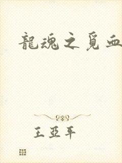 龙魂之觅血心缘