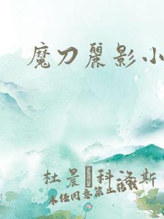 魔刀丽影小说