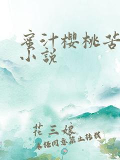 蜜汁樱桃苦咖啡小说