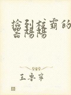 捡到校霸的遥控器阳阳