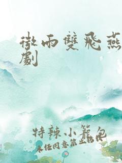 微雨双飞燕电视剧