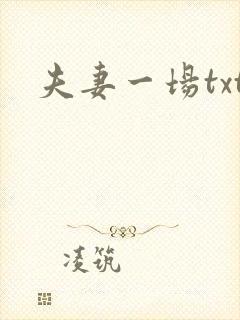 夫妻一场txt