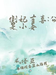 侧妃有喜:公主是小妾