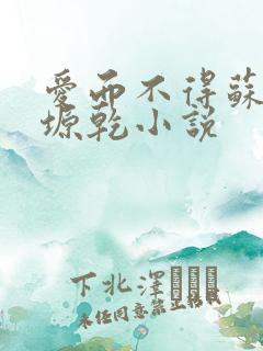 爱而不得苏路顾塬乾小说