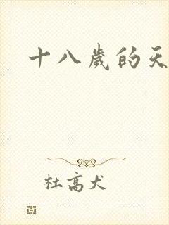 十八岁的天空续