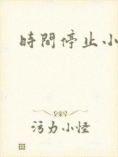 时间停止小说
