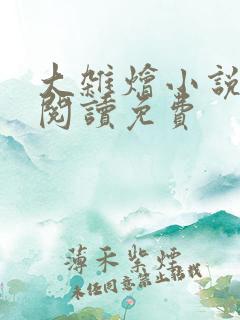 大杂烩小说全集阅读免费