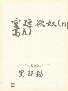 宫廷欲奴(np高h)