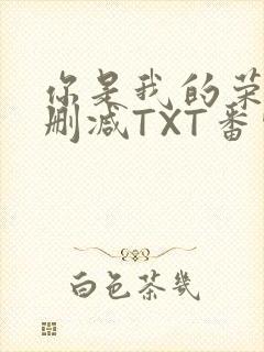 你是我的荣耀未删减TXT番外