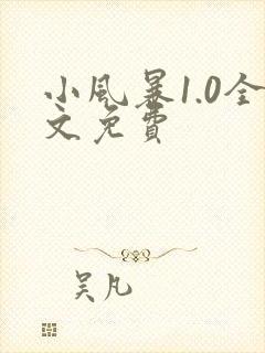 小风暴1.0全文免费