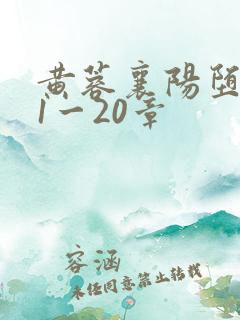 黄蓉襄阳堕落史1一20章