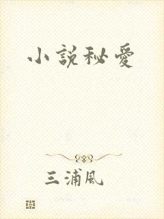 小说秘爱