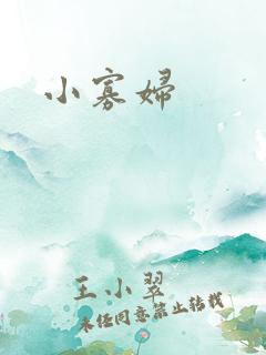 小寡妇