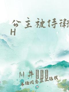公主被侍卫灌满H
