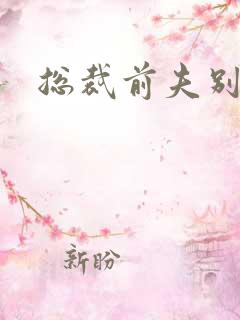 总裁前夫别耍酷