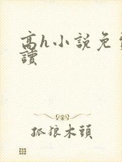 高h小说免费阅读