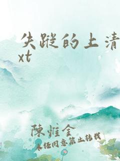 失踪的上清寺txt