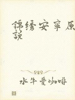 锦绣安宁原著小说