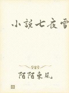 小说七夜雪下载