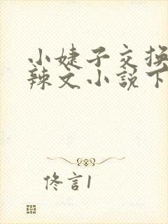 小婕子交换系列辣文小说下载