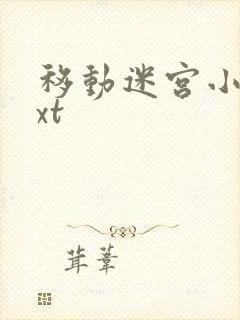 移动迷宫小说txt