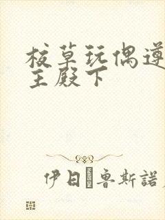 校草玩偶遵命公主殿下