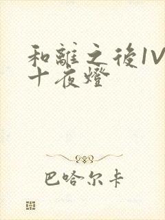 和离之后1V1十夜灯