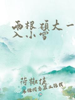 两根硕大一起挤入小雪