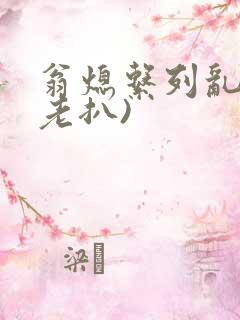 翁熄系列乱 (老扒)