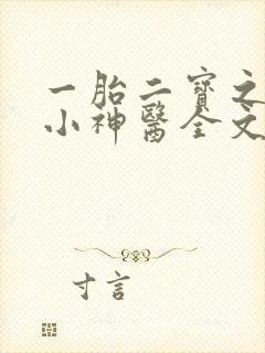 一胎二宝之弃妃小神医全文免费阅读