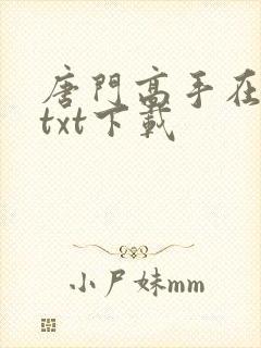 唐门高手在异世txt下载