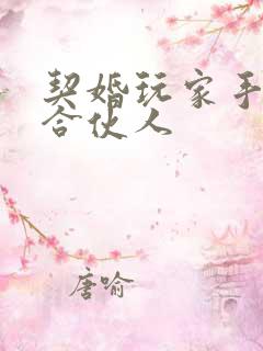 契婚玩家手册之合伙人