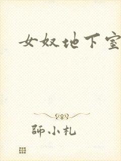 女奴地下室