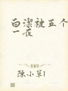 白洁被五个人玩一夜