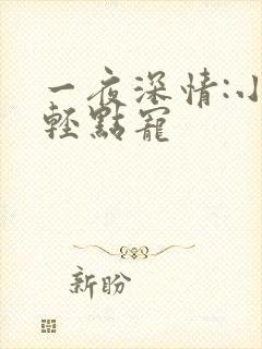 一夜深情:小叔轻点宠