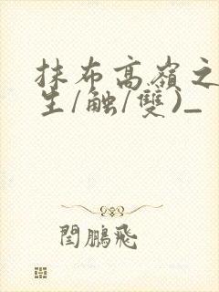 抹布高岭之花(生/触/双)_