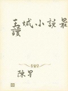 王城小说最近阅读