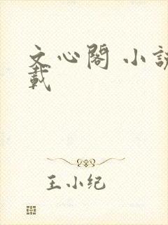 文心阁 小说连载