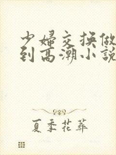 少妇交换做爰做到高潮小说