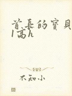 首长的宝贝1v1高h