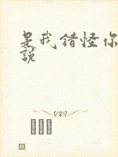 是我错怪你了小说