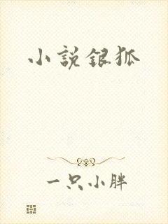 小说银狐
