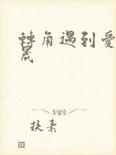 转角遇到爱 李晟