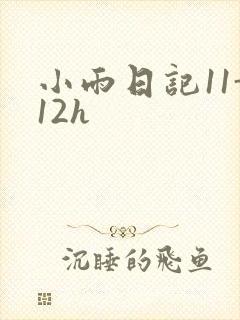 小雨日记11-12h