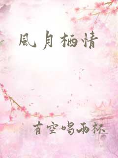 风月栖情