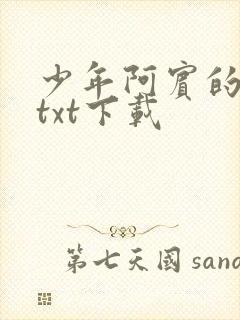 少年阿宾的故事txt下载